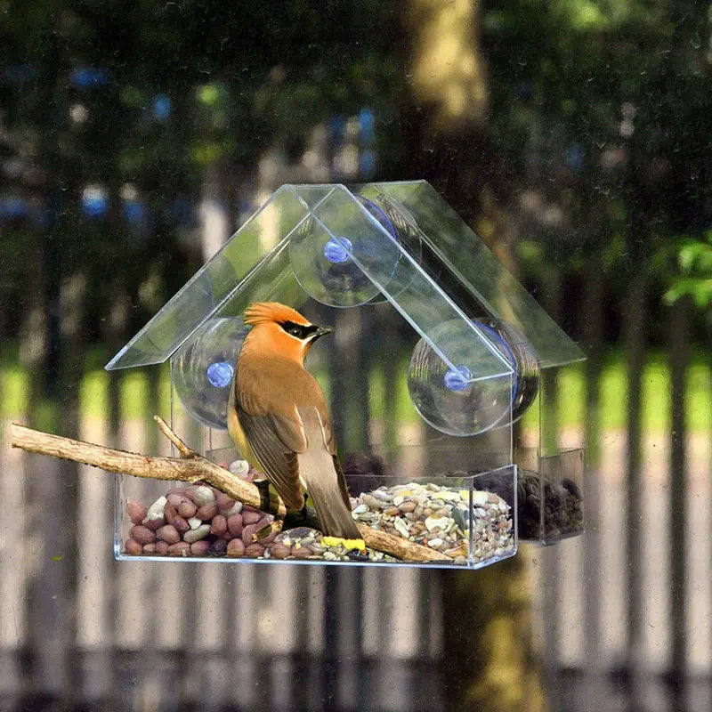 Bird Feeder Transparent House Type Feeding Cage with Suction Cup