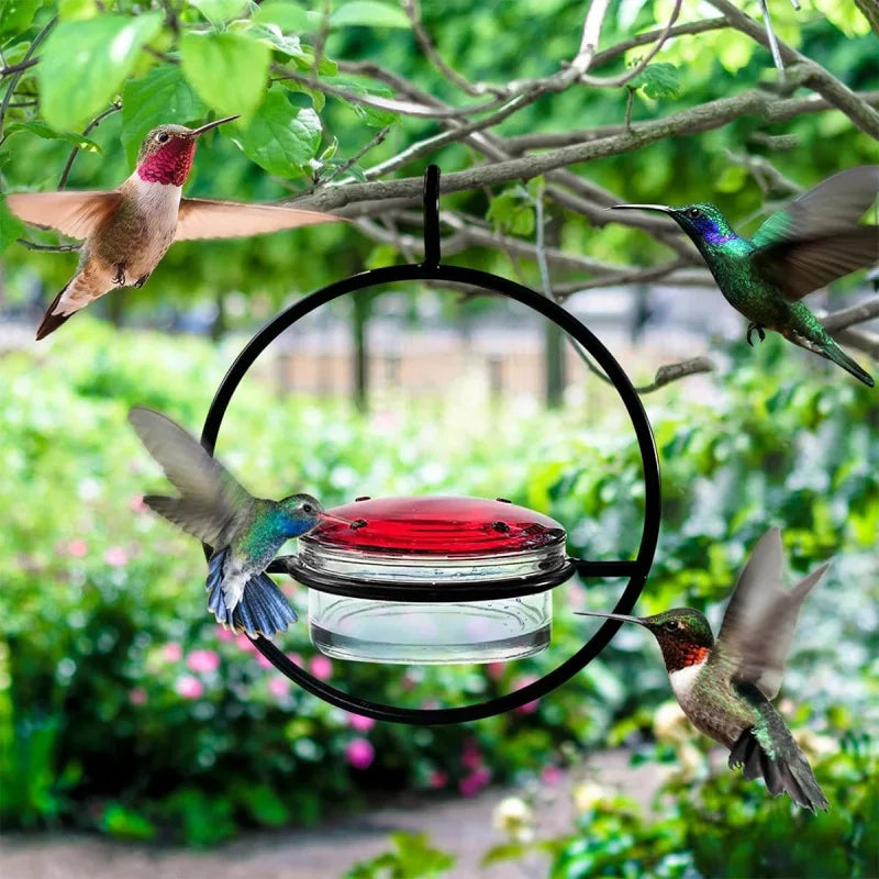 Metal Simple Hummingbird Water Feeder Hanging Round Mini Bird Feeder