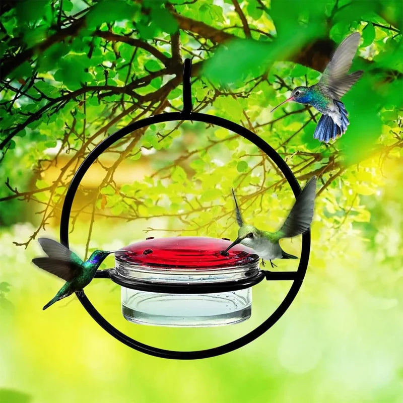 Metal Simple Hummingbird Water Feeder Hanging Round Mini Bird Feeder