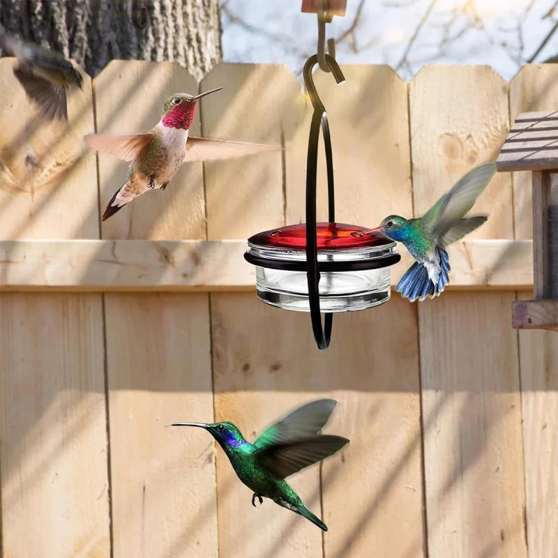 Metal Simple Hummingbird Water Feeder Hanging Round Mini Bird Feeder