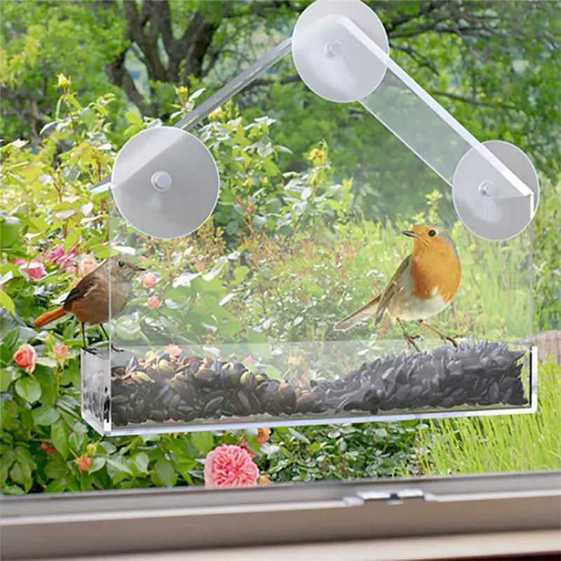 Bird Feeder Transparent House Type Feeding Cage with Suction Cup